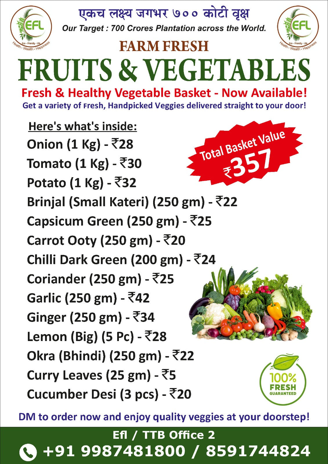 Fresh and Healthy Vegetable Basket