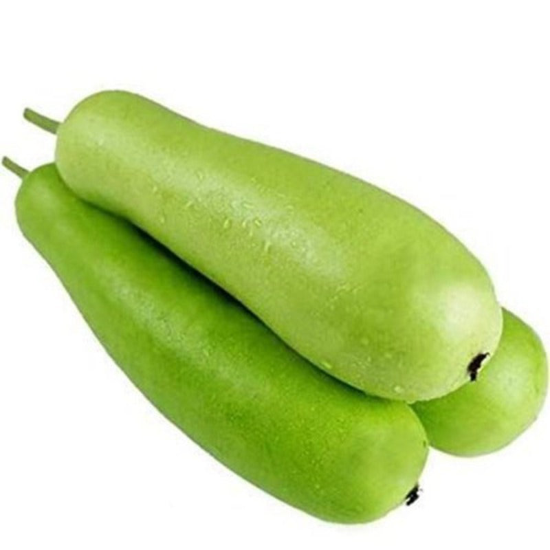 Bottle Gourd Small (दूधी) 1Pc
