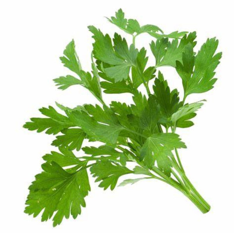 Coriander (धनिया) 250Gm