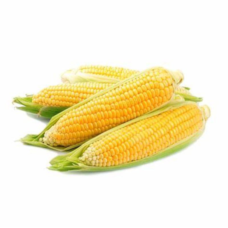 American Corn Whole Yellow (अमेरिकी कॉर्न येलो) 2Pc