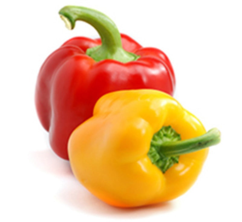Capsicum Red/Yellow (शिमला मिर्च लाल/पीली) 1Pc