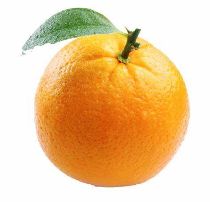 Orange Malta (ऑरेंज माल्टा) 4Pc